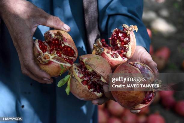 pomegranantes pic